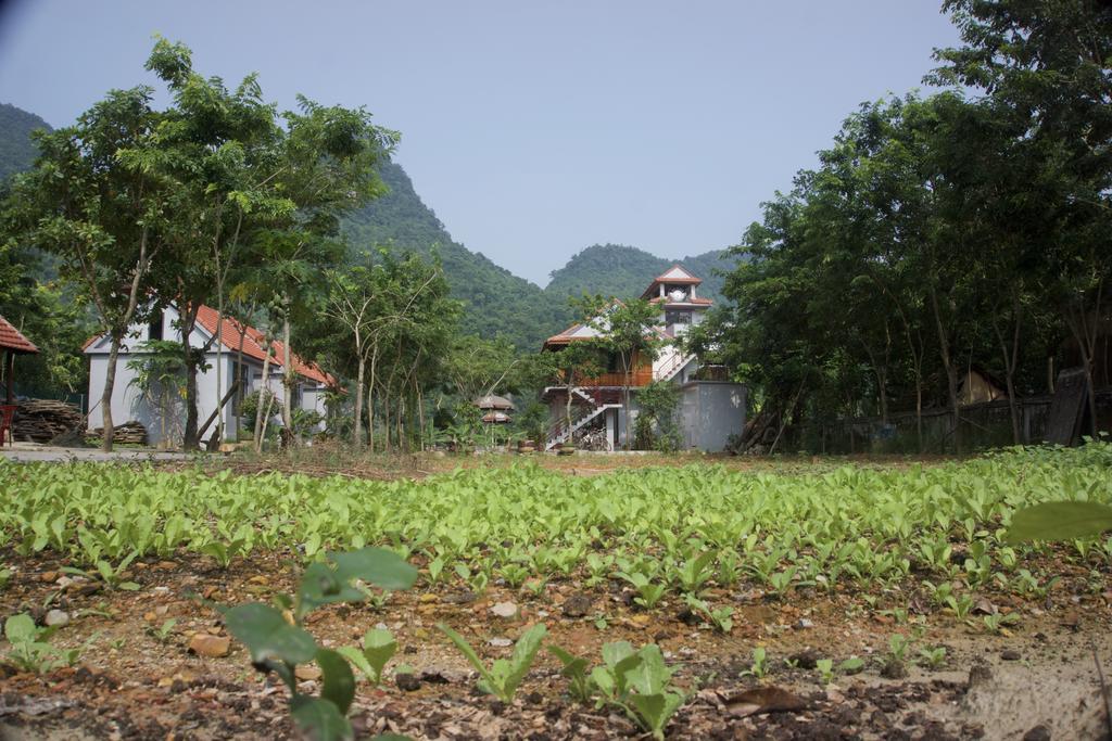 Ho Khanh'S Homestay Фонгня Экстерьер фото