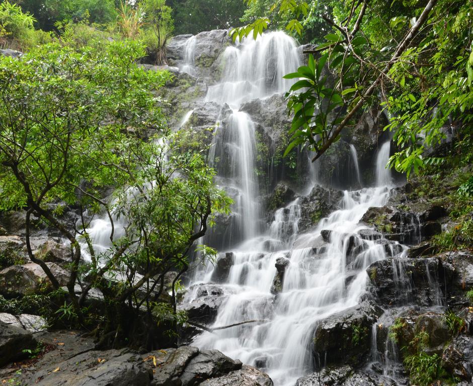 Ho Khanh'S Homestay Фонгня Экстерьер фото